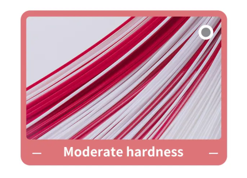 Advancements in Nylon Brush Filament Technology Enhance Cleaning Efficiency